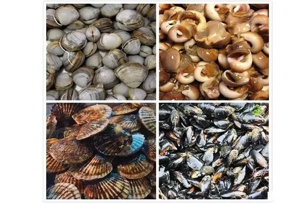 <a href='/yingkou/' target=_blank>營(yíng)口</a>鲅魚(yú)圈海鮮市場(chǎng)哪個(gè)好 附開(kāi)海<a href='/jingdian/93952' target=_blank>后海</a>鮮價(jià)格 營(yíng)口鲅魚(yú)圈海鮮市場(chǎng)哪個(gè)好 附開(kāi)海后海鮮價(jià)格